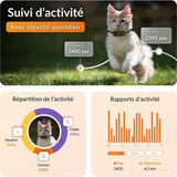 Traceur GPS pour Chat - Weenect XS (Black Edition 2023)