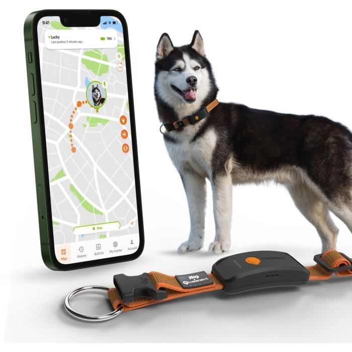 Collier GPS pour chien - WEENECT Chien XT - Antenne XL - Etanche - Collier Julius-K9 - Fonctionne avec abonnement - Orange