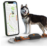 Collier GPS pour chien - WEENECT Chien XT - Antenne XL - Etanche - Collier Julius-K9 - Fonctionne avec abonnement - Orange