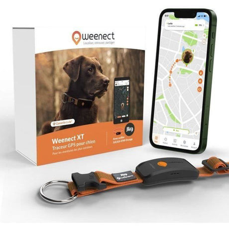 Collier GPS pour chien - WEENECT Chien XT - Antenne XL - Etanche - Collier Julius-K9 - Fonctionne avec abonnement - Orange