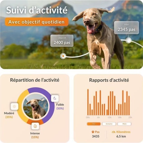Collier GPS pour chien - WEENECT Chien XT - Antenne XL - Etanche - Collier Julius-K9 - Fonctionne avec abonnement - Noir