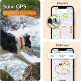 Collier GPS pour chien - WEENECT Chien XT - Antenne XL - Etanche - Collier Julius-K9 - Fonctionne avec abonnement - Noir