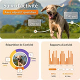 Collier GPS pour chien - WEENECT Chien XT - Antenne XL - Etanche - Collier Julius-K9 - Fonctionne avec abonnement - Noir