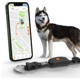 Collier GPS pour chien - WEENECT Chien XT - Antenne XL - Etanche - Collier Julius-K9 - Fonctionne avec abonnement - Noir