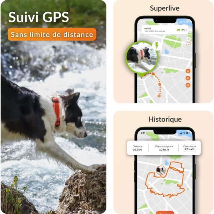 Collier GPS pour chien - WEENECT Chien XT - Antenne XL - Etanche - Collier Julius-K9 - Fonctionne avec abonnement - Noir