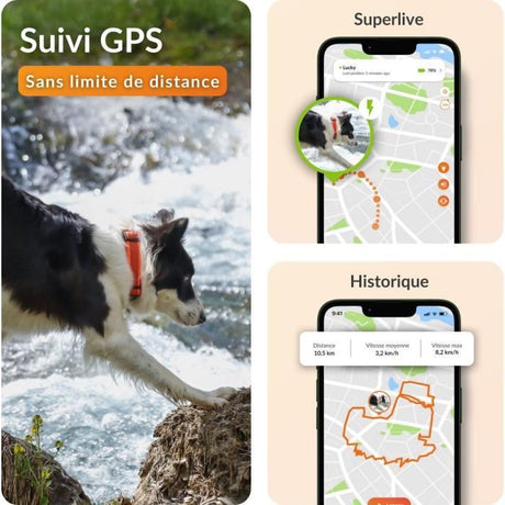Collier GPS pour chien - WEENECT Chien XT - Antenne XL - Etanche - Collier Julius-K9 - Fonctionne avec abonnement - Noir