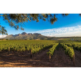 Zoulou Tentation Cinsault Cabernet Sauvignon - Vin rouge d'Afrique du Sud 2024