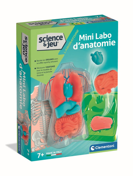 Mini Labo d'anatomie CLEMENTONI