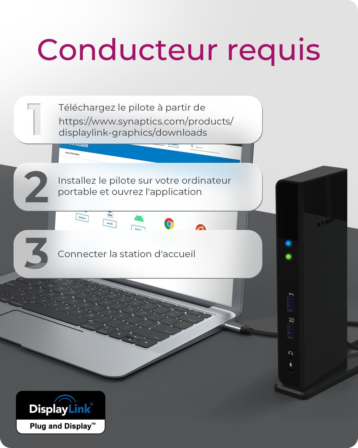 Station d'accueil USB-C 3.0 Icy Box IB-DK2251AC avec alimentation (Noir)