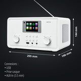 Radio Internet - MEDION - DAB - Bluetooth - 2x10W RMS - Blanc