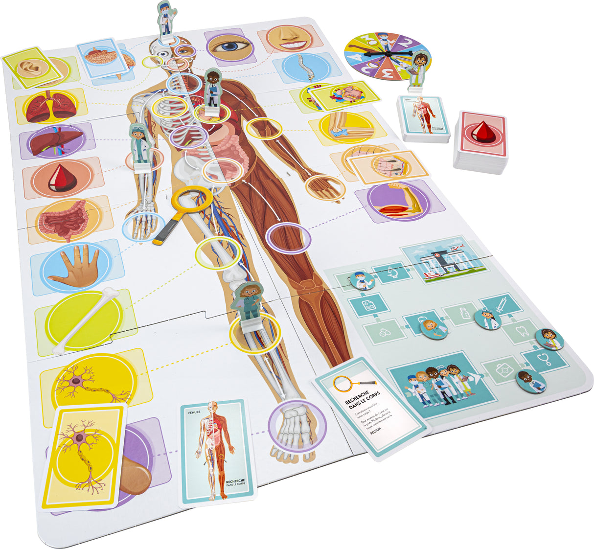 Apprenons le corps humain - Jeu éducatif - TACTIC - 2 joueurs et plus - Des 7 ans