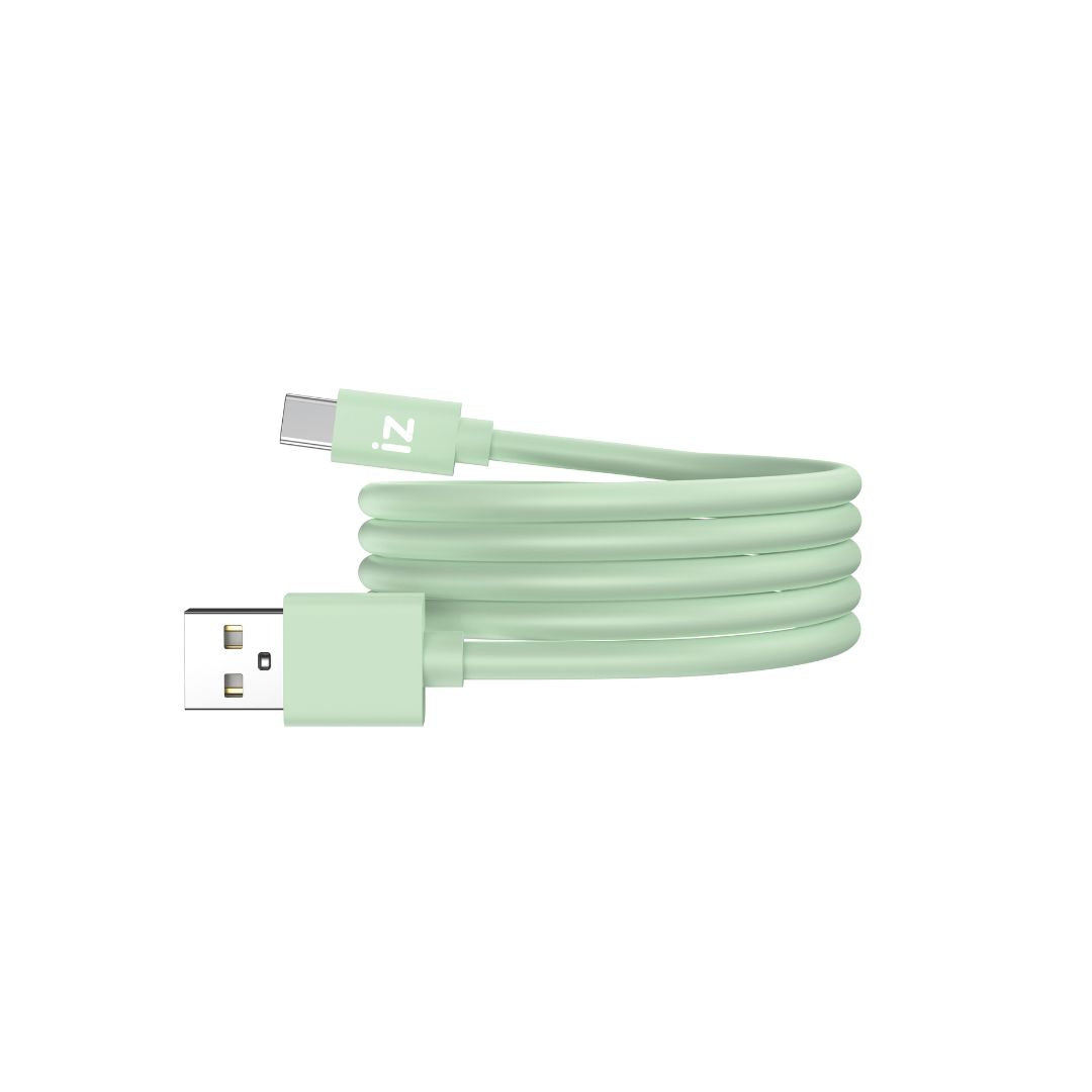 C ble IZZY USB / USB-C 1m - 60W - vert