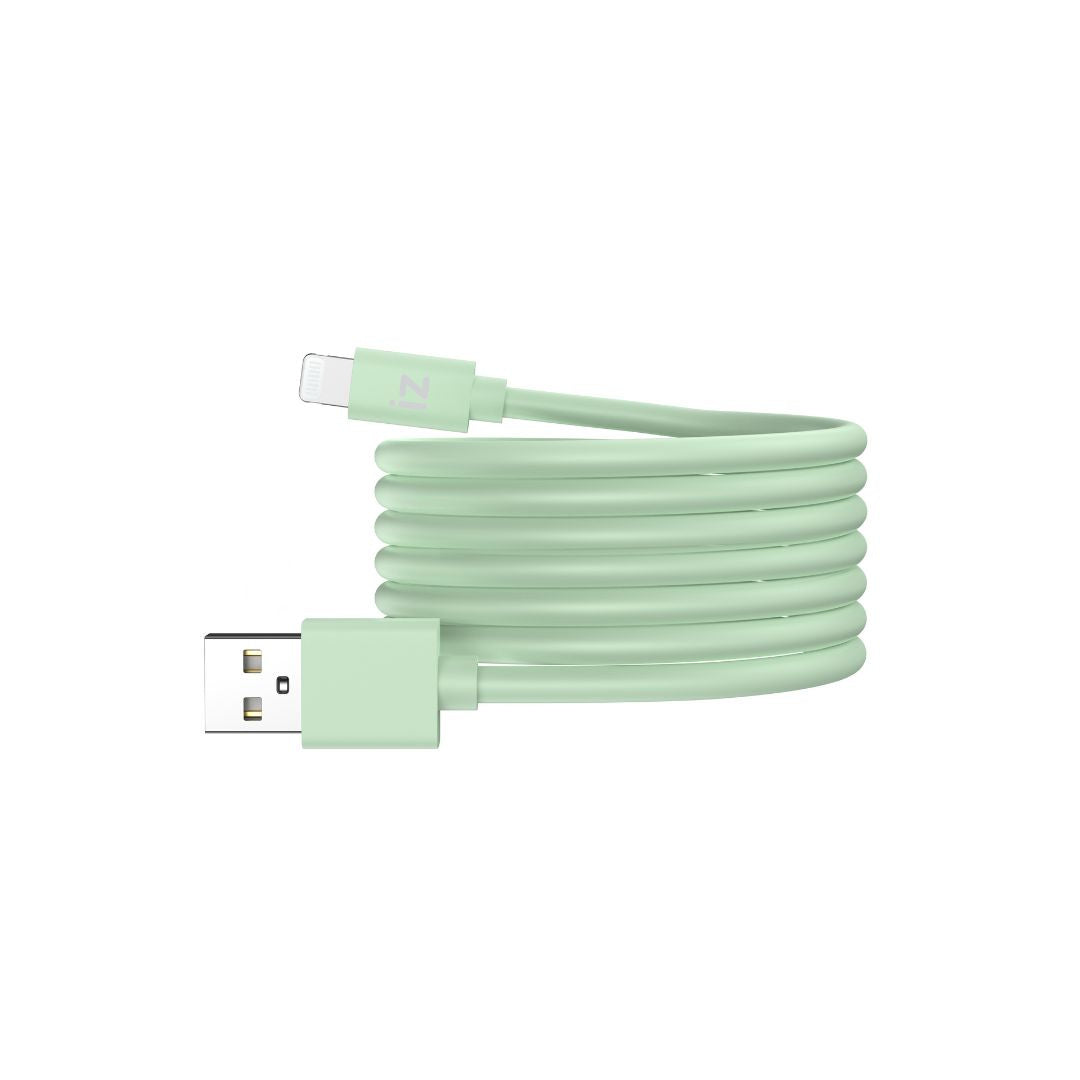 C ble IZZY USB / Lightning 2m - 12W - Vert