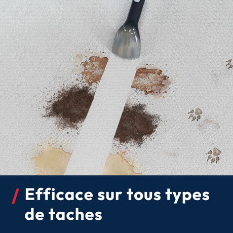 Nettoyeur Détacheur Shampouineuse HOOVER HS500 - Lave et Seche Tapis,Moquette, Canapé, Tissus, Sieges Voiture - Puissant 400W
