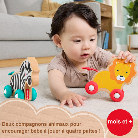 Fisher-Price Animaux a pousser en bois - Véhicule lion et zebre pour jeu a quatre pattes - 2  pieces en bois - des 6 mois - JFN19