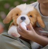 Mon Chiot Beagle - MOOSE TOYS - REALLY REAL - LITTLE LIVE PETS - Chiot interactif avec sons et réactions