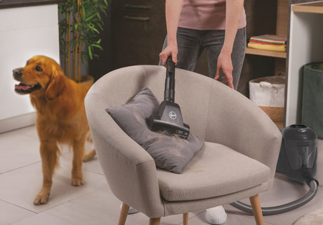 Aspirateur traineau sans sac - HOOVER - HP321PAF - 850 W - 75 dBA - 2 L - Gris