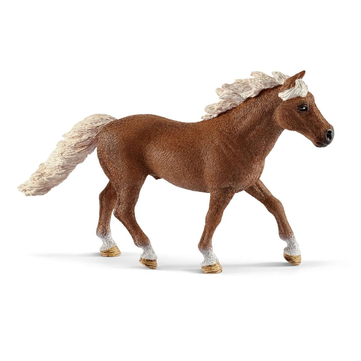 Coffret d'entraînement agilité équestre avec Cheval, Ensemble de 41 Pieces, Schleich 42481 Farm World, des 3 ans