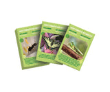 La maison des insectes - Clementoni - Science & Jeu - Jeux Scientifiques