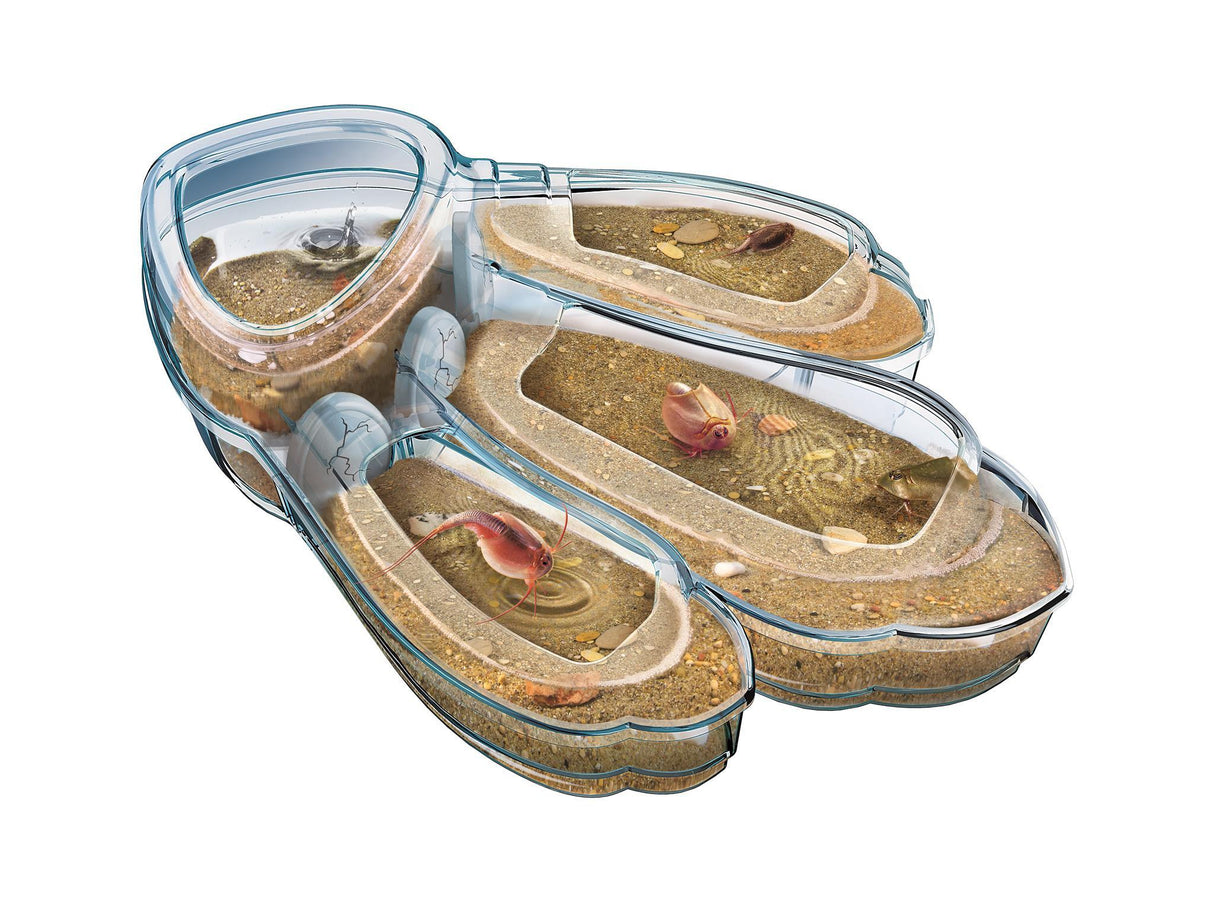 Triops, les animaux préhisto - Clementoni - Science & Jeu - Jeux Scientifiques