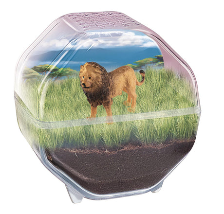 Mini Terrarium - Clementoni - Lion - Jeu de sciences et d'expériences - Des 7 ans - Fabriqué en Italie