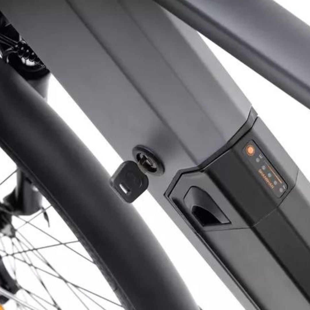 Vélo électrique Lancia Génio Moteur Bafang 36V/250W/45Nm , Batt Int 36V 10.4Ah,