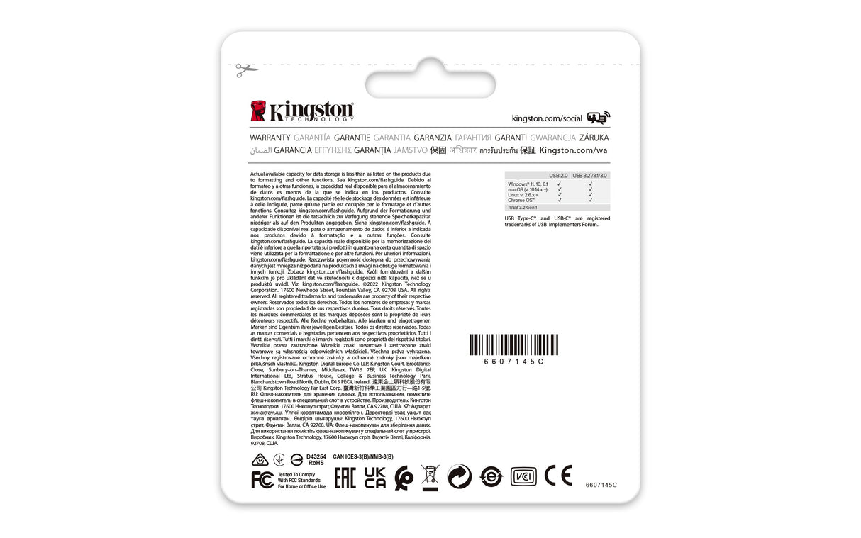 Clé USB-C 3.2 Kingston DataTraveler 80M - 256Go