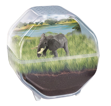 Mini Terrarium - Clementoni - Éléphant - Jeu de sciences et d'expériences - Des 7 ans - Fabriqué en Italie