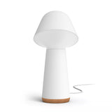 PHILIPS lampe connectée hue w