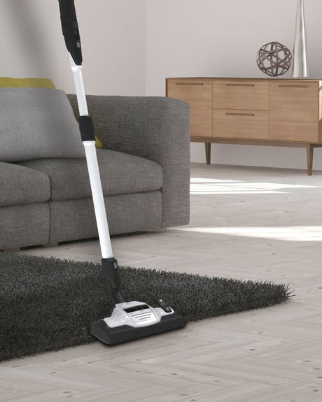 Aspirateur Traineau avec Sac - HOOVER - HE530ALG - 700 W - 4 L - 65 dBA - Spécial animaux et allergies