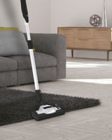 Aspirateur Traineau avec Sac - HOOVER - HE530ALG - 700 W - 4 L - 65 dBA - Spécial animaux et allergies