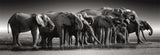 CLEMENTONI - Compact 1000 pieces Panorama - Herd of Giants
