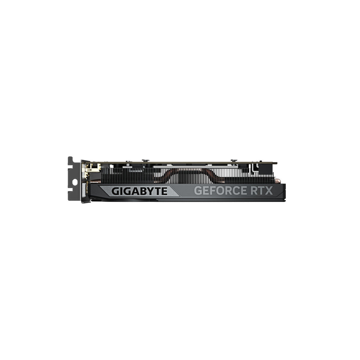 Carte Graphique Gigabyte GeForce RTX 5050 OC Low Profile