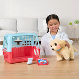 Peluche - LITTLE LIVE PETS - Mon chien ouchies - Des 5 ans