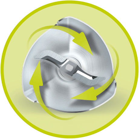Mixeur plongeant - PHILIPS - HR2531/00? - ProMix Daily Série 3000 - 650W - Blanc