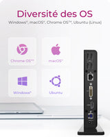 Station d'accueil USB-C 3.0 Icy Box IB-DK2241AC avec alimentation (Noir)