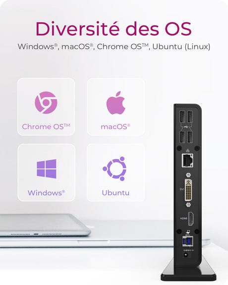 Station d'accueil USB-C 3.0 Icy Box IB-DK2241AC avec alimentation (Noir)