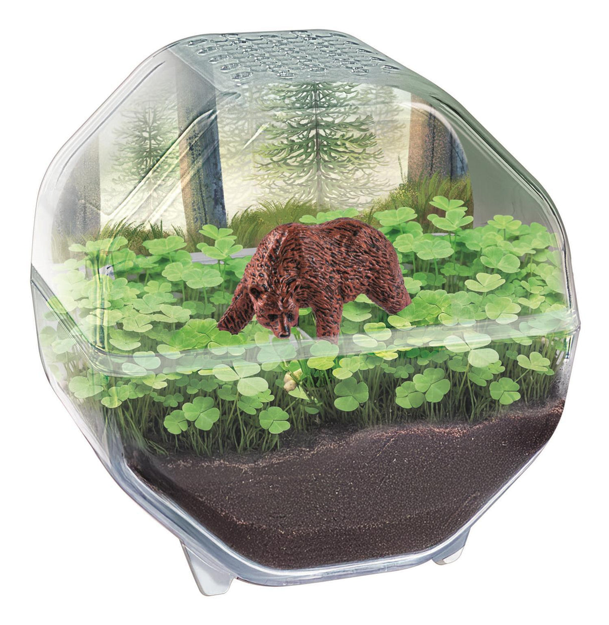 Mini Terrarium - Clementoni - Ours - Jeu de sciences et d'expériences - Des 7 ans - Fabriqué en Italie